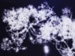 Neural network