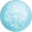 Snowflake globe
