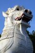 White lion