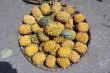 Pineapples