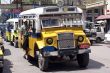 Buses