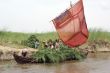 Sail boat and grass