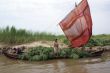 Sail boat with grass