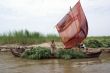 Boat with grass