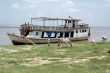 Boat and cows
