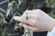 dragonfly on a hand