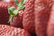 Close-up Strawberries