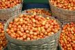 Baskets with tomato