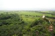 Stupa, forest andd field