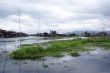 Inle