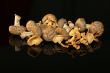 Dried mushrooms