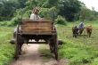 Cart and plough