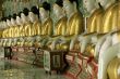 Buddhas