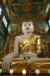 Sitting Buddha
