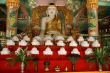 Buddha and umbrellas