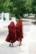 Walking monks