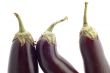 aubergine close up