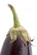 aubergine closeup
