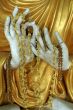 Buddha`s hand
