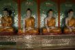 Buddhas