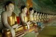 Buddhas
