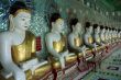 Buddhas