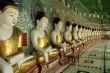 Buddhas
