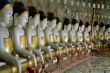 Buddhas