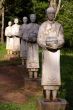 Monks in the forest