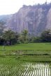 Green field, house and mount