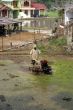 Farmer on the rice field