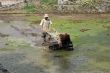 Farmer