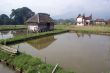 Houses and pond