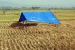 Tent on the field