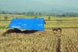 Blue tent