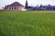 Field and village