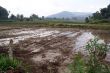 Wet field