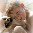Boy with his cat