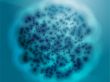 Bacterial cell growth illustration