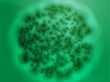 Bacterial cell growth illustration