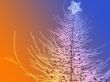 Sparkly christmas tree illustration