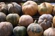Pumpkins
