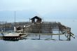 Floating houses