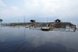Fishing nets