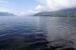 Toba