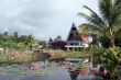 Lotus pond