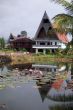 House and lotuses
