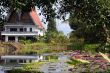 House and lotuses