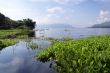 Samosir and Toba