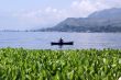 Grass and boat